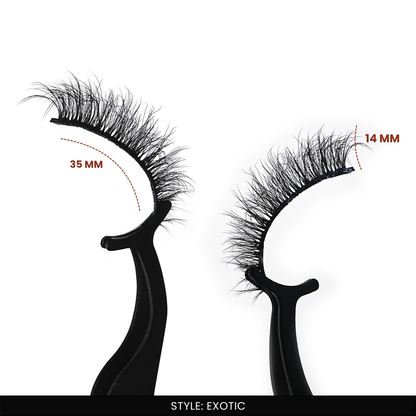 Exotic + Plum False Eyelashes Combo | Fake Eyelashes for Women | 2 Styles | Lightweight Band