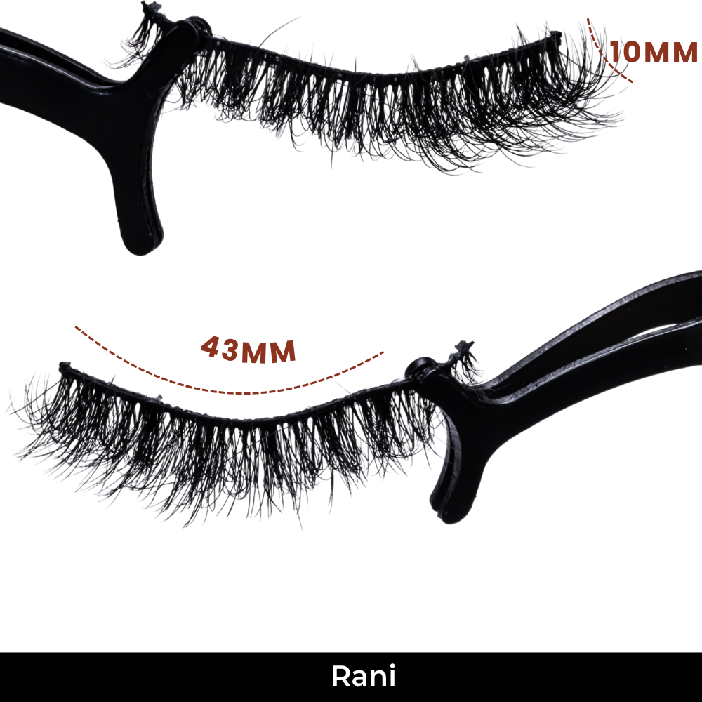 Rani False Eye Lashes | Medium Occasion Wear | Vegan Cruelty-Free | Pair of 10