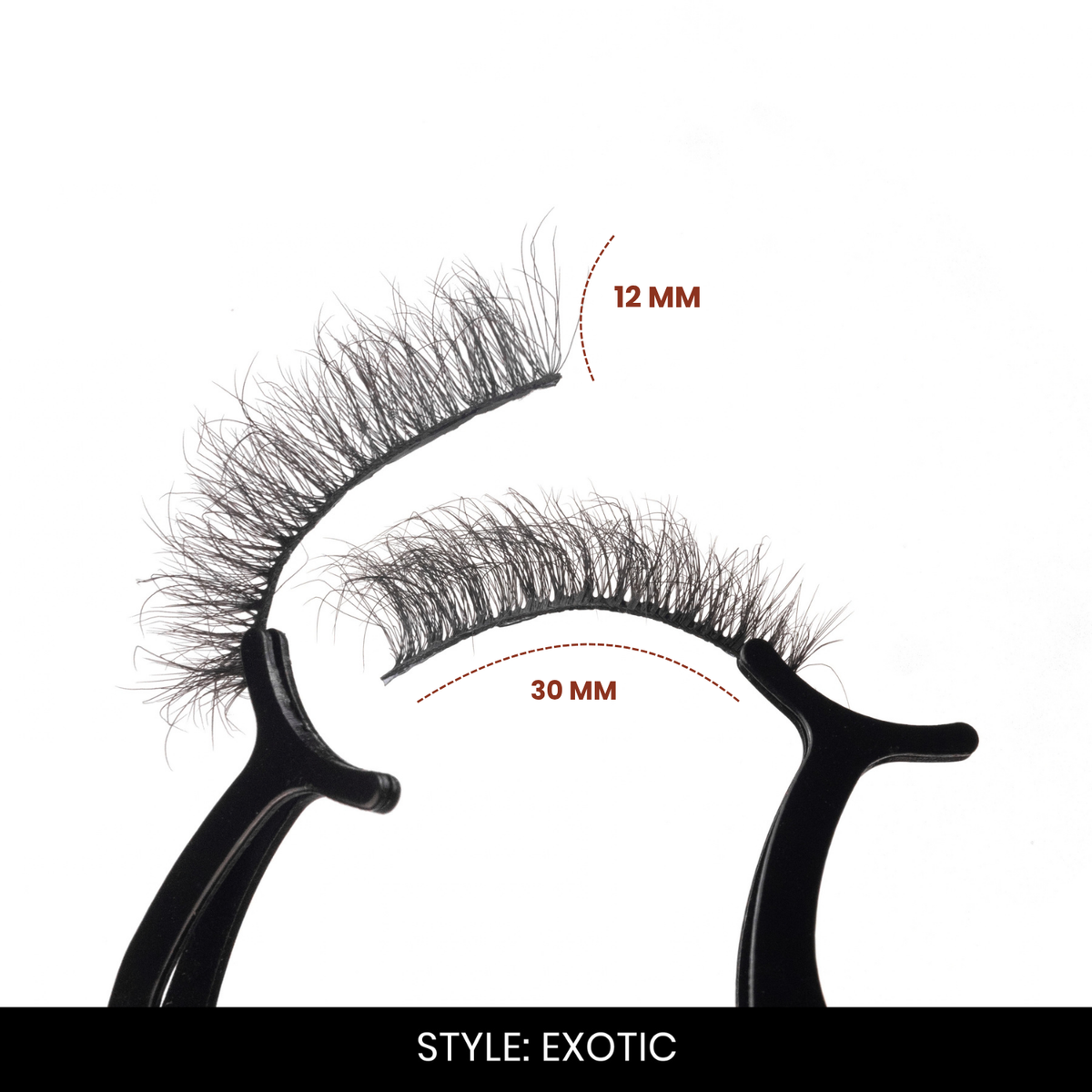 Exotic + Kishmish False Eyelashes Combo | Fake Eyelashes for Women | 2 Styles | Lightweight Band