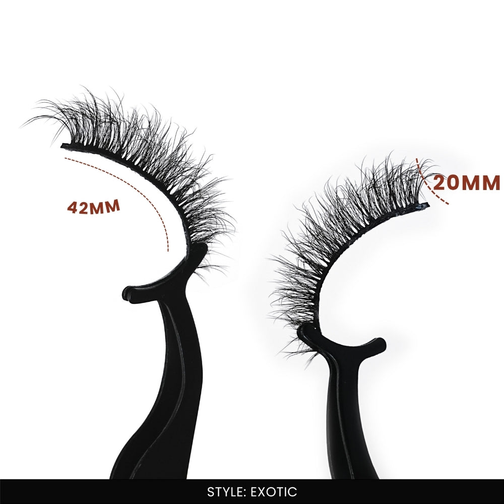 Bombay + Exotic False Eye Lashes | Medium Occasion Wear | Vegan Cruelty-Free | Pair of 16