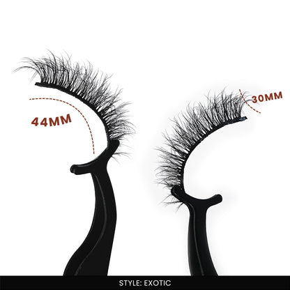 Exotic + Plum False Eye Lashes | Medium Occasion Wear | Vegan Cruelty-Free | Pair of 16