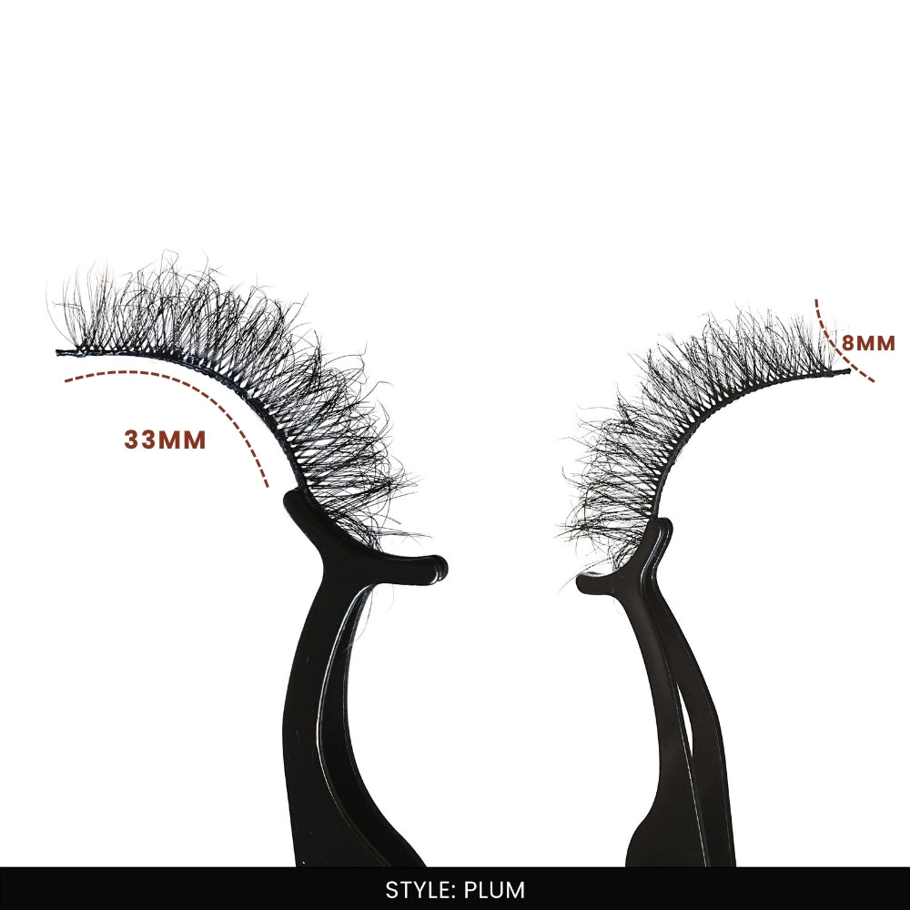Plum False Eye Lashes | Natural Daily Wear | Vegan Cruelty-Free | Pair of 16